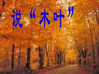 说木叶优秀实用课件