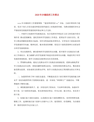 2020年乡镇组织工作要点