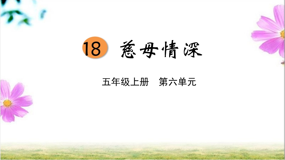 慈母情深PPT课件_第1页