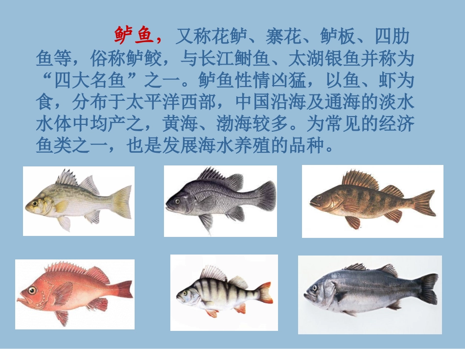 钓鱼的启示 ()_第3页