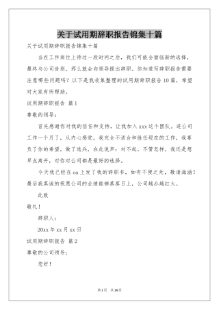 关于试用期辞职报告锦集十篇
