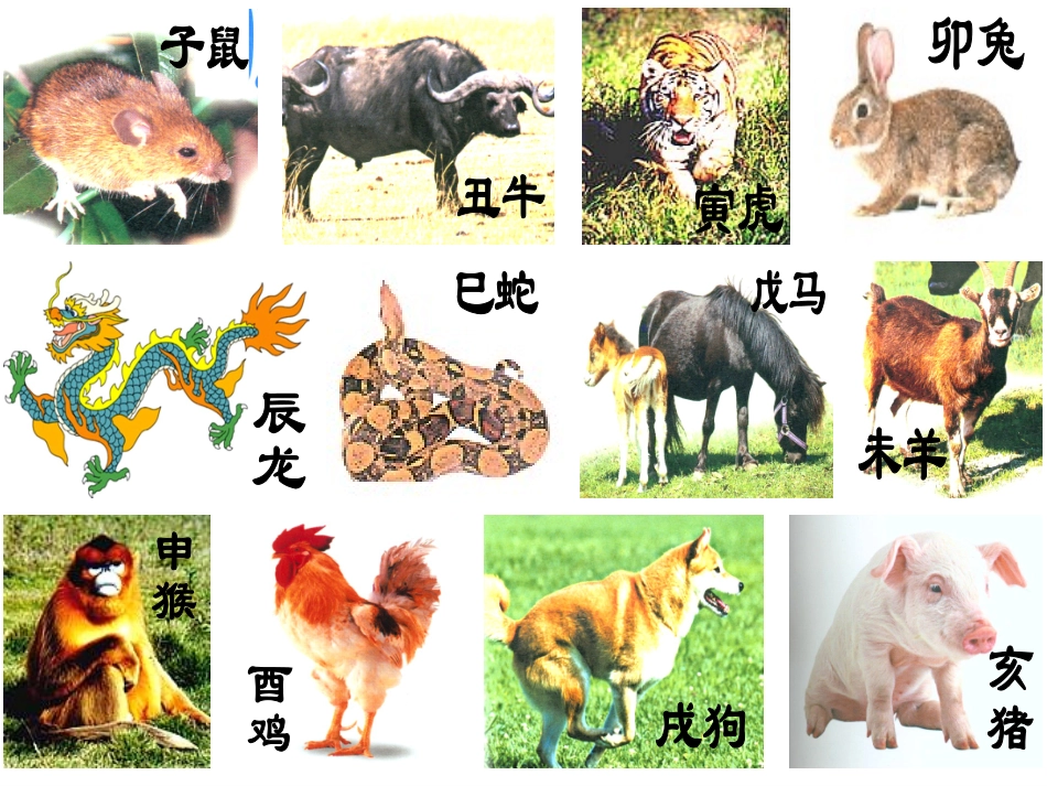 有趣的生肖邮票luke_第3页