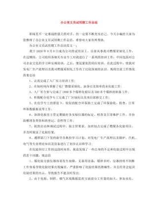 办公室文员试用期工作总结 