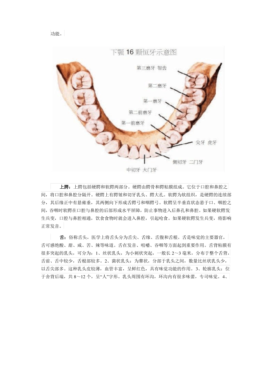 -口腔知识大全_第2页