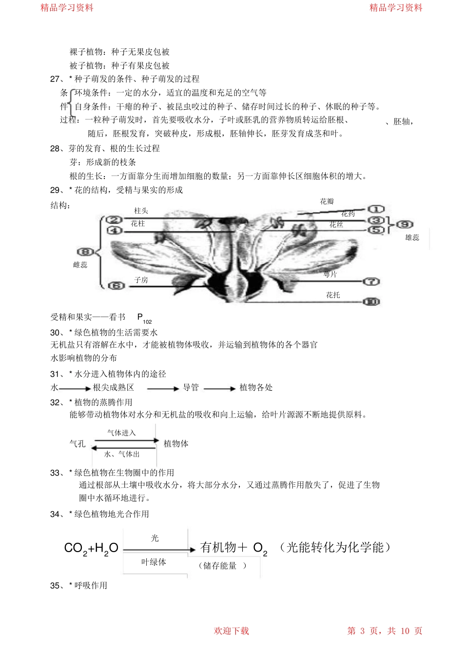 2021初中七年级生物上册重点知识点总结_第3页