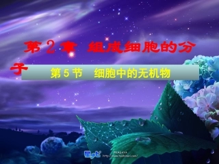 细胞中的无机物课件（人教版必修I）