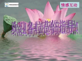 化学式与化合价化学式的写和读【公开课】