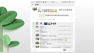 让友谊之树常青