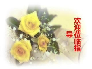 《学写传记》人教版(共38张PPT)