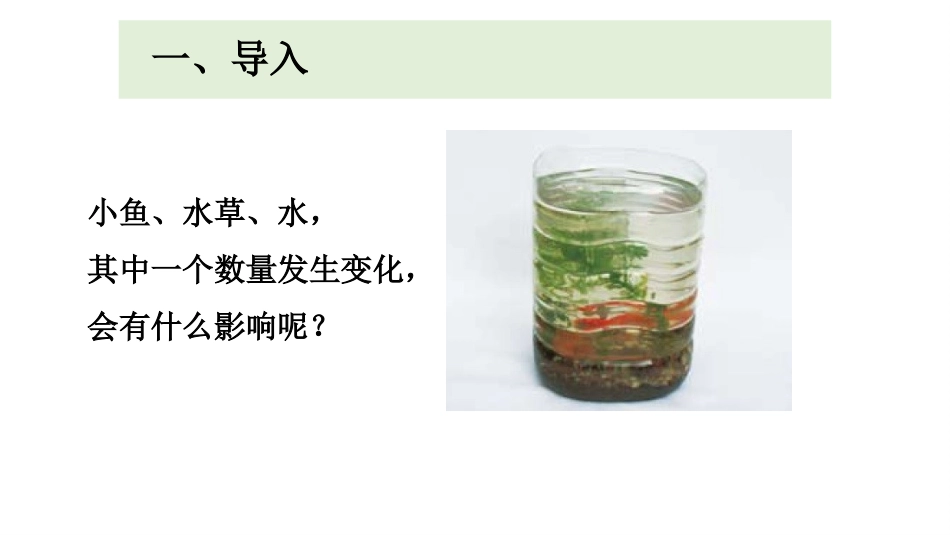 五上1-8《维护生态平衡》_第2页