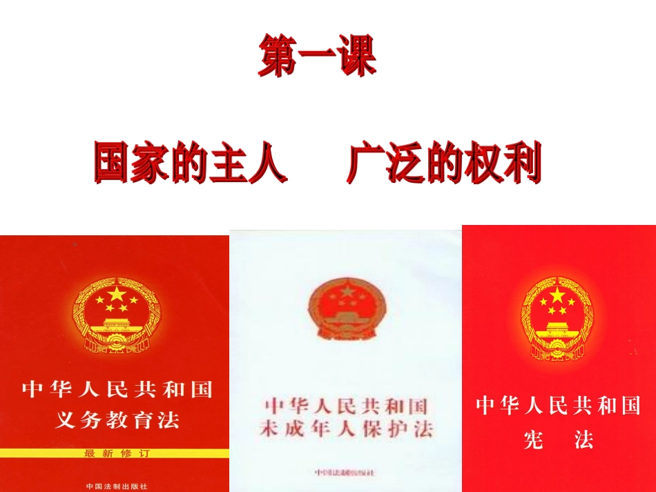 人民当家做主的国家_第1页
