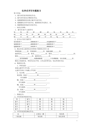 中考专题2：化学式书写