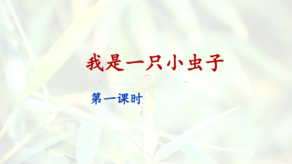 《我是一只小虫子》课件（第课时）_第1页