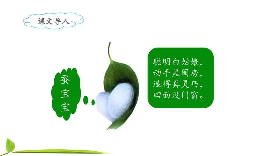 《我是一只小虫子》课件（第课时）_第2页