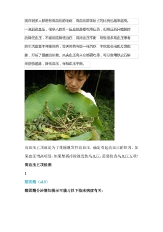 高血压的原因这五项检测你必须知道!