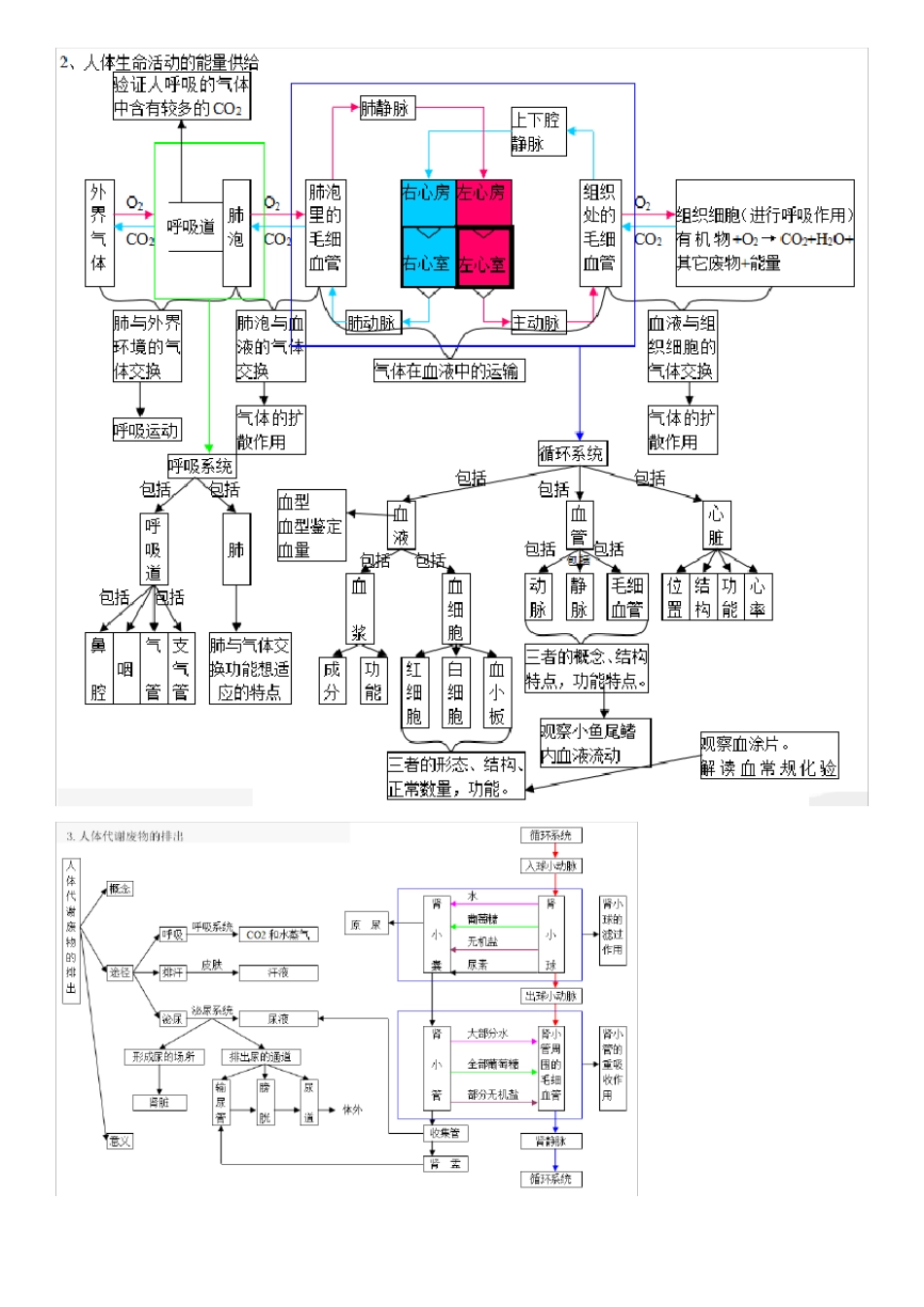 主题五生物圈中的人考点分析+例题_第2页