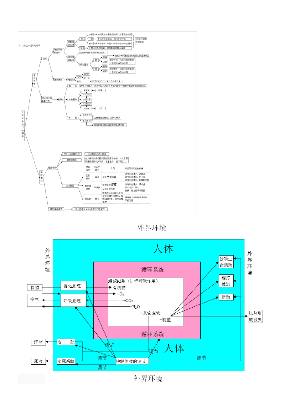 主题五生物圈中的人考点分析+例题_第3页
