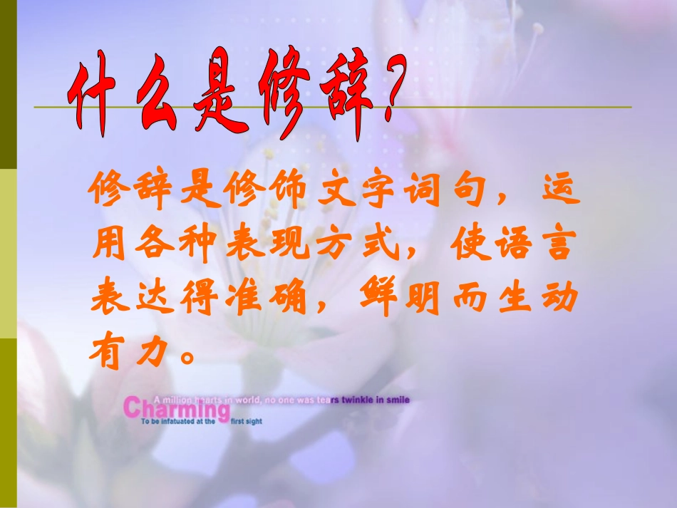 中考语文专题复习：修辞手法课件2_第3页