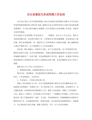 办公室基层文员试用期工作总结 