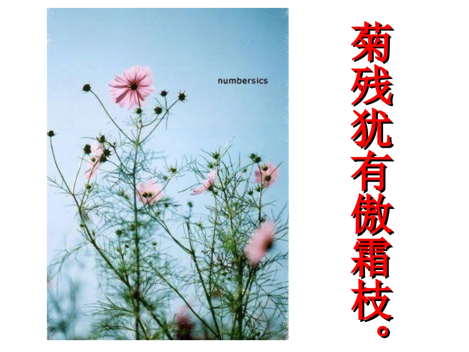 、古诗赠刘景文_第3页