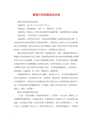献爱心的实践活动总结