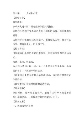 第三课   大树和小草