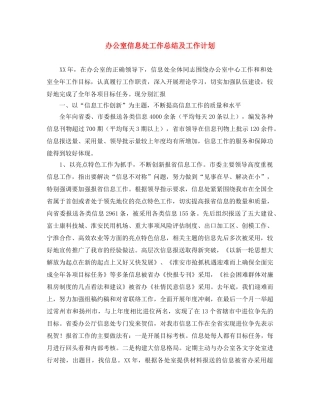 办公室信息处工作总结及工作计划 