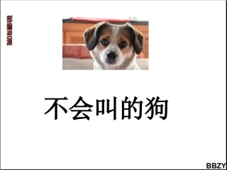 第14课《不会叫的狗》课件（1）