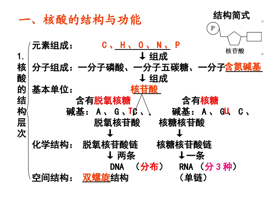 核酸、糖类与脂质_第3页
