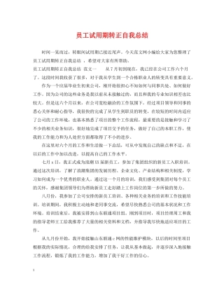 员工试用期转正自我总结2