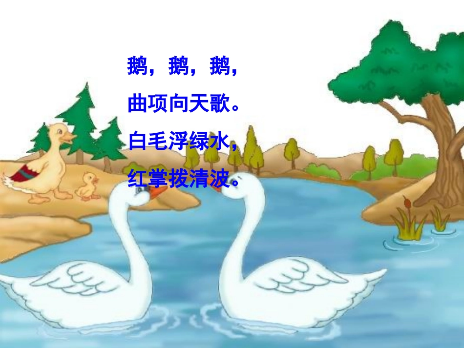 白鹅课件-(1)_第1页