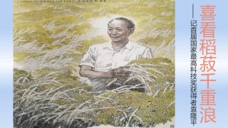 喜看稻菽千重浪