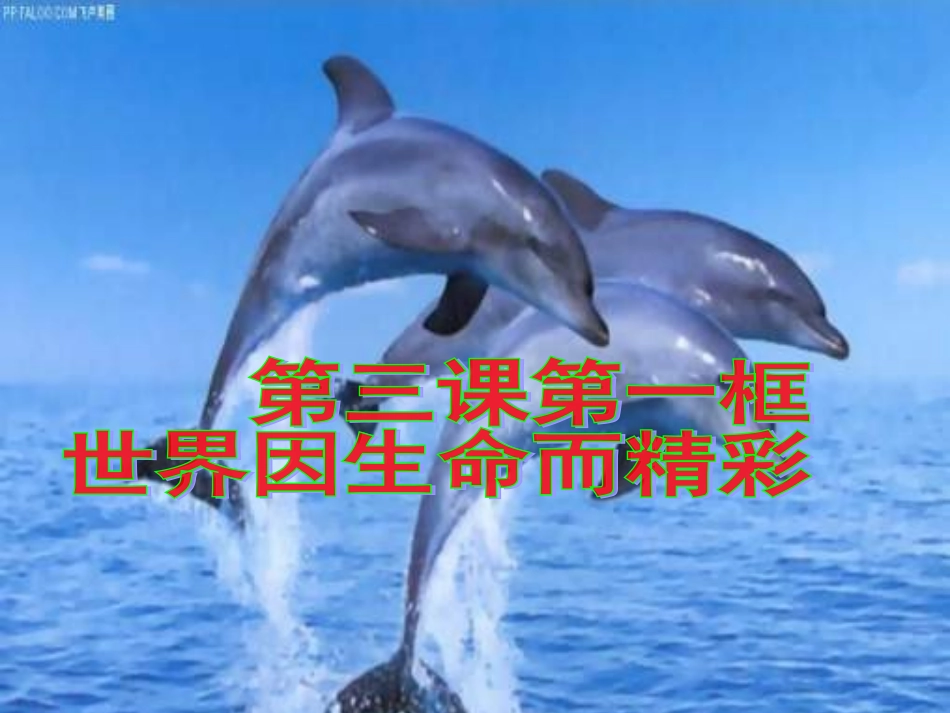 《世界因生命而精彩》课件_第3页