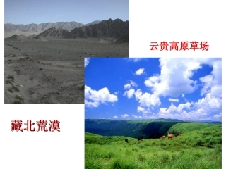 《世界因生命而精彩》课件