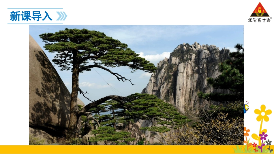 黄山奇石 ()_第3页