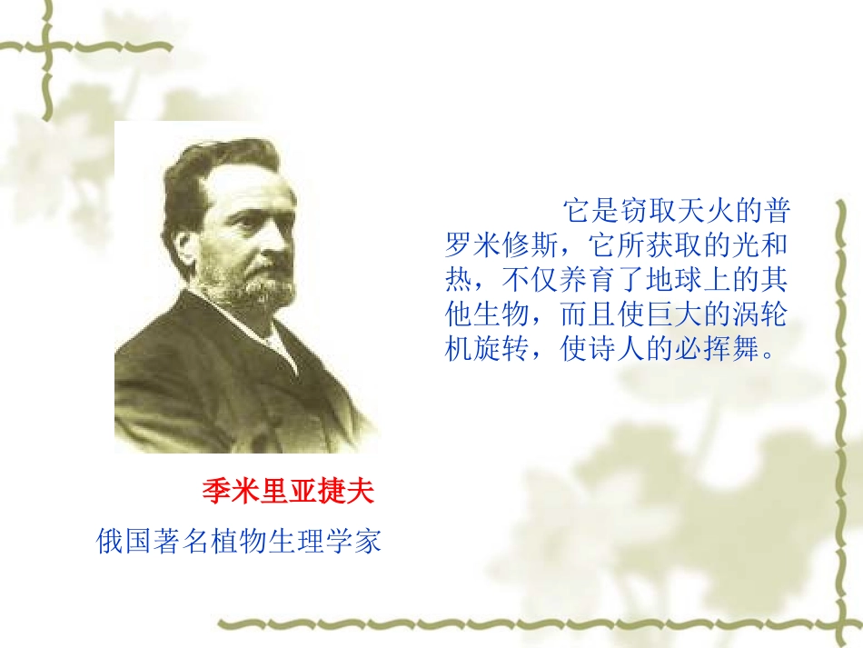 -五彩缤纷的植物世界_第2页