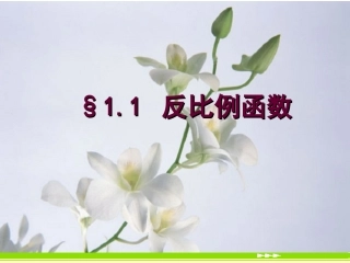 【课件1】11反比例函数 (2)