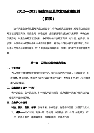 集团公司总体发展战略规划