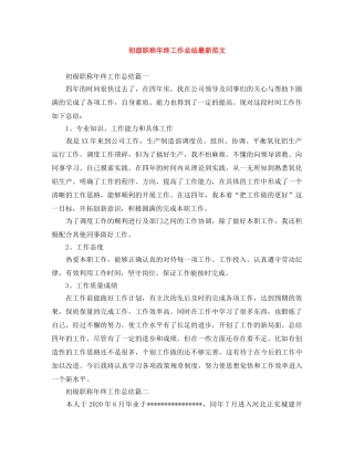 初级职称年终工作总结最新范文 