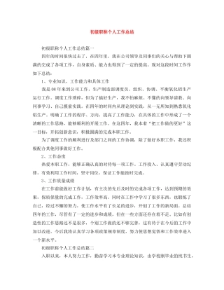 初级职称个人工作总结 