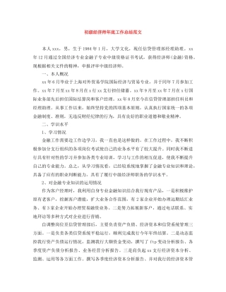 初级经济师年底工作总结范文 
