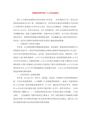 初级经济师年底个人工作总结例文 