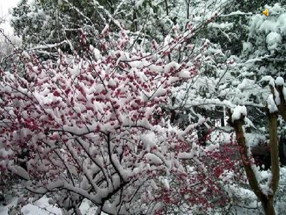 雪地里的小画家第一课时_第3页