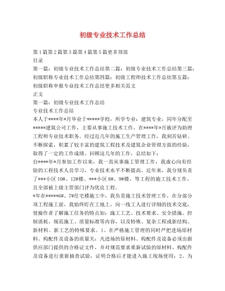 初级专业技术工作总结 