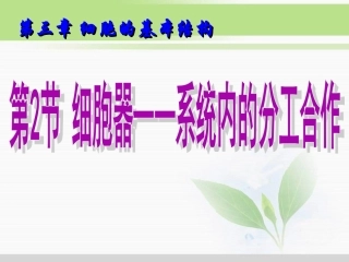 必修1第3章第2节细胞器——系统内的分工合作