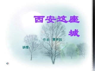 西安这座城-副本