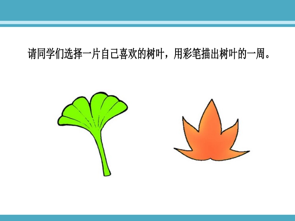 《什么是周长》2_第3页
