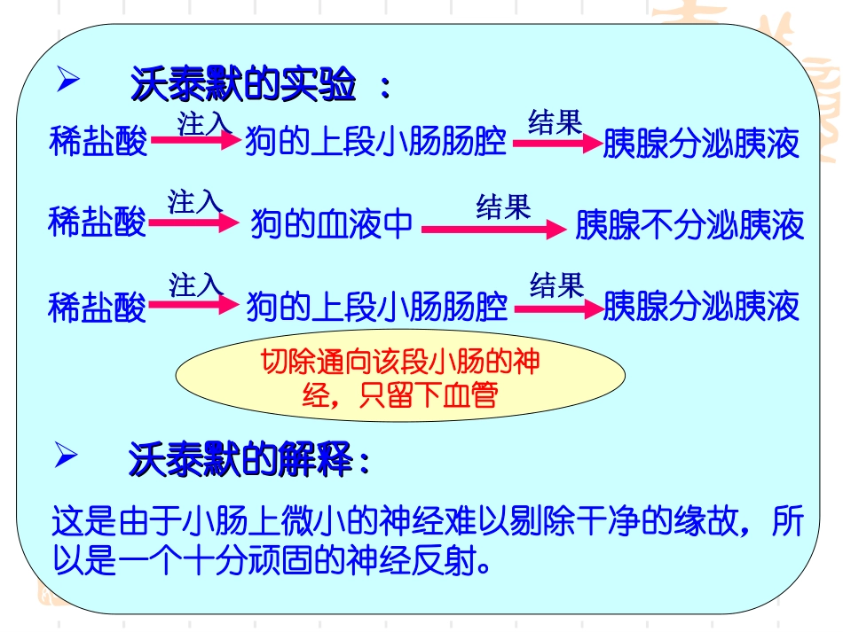 必修三第2章动物和人体生命活动的调节第2节通过激素调节_第3页