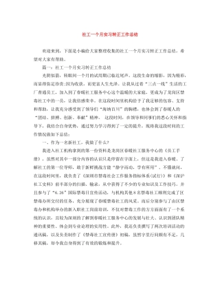 社工一个月实习转正工作总结