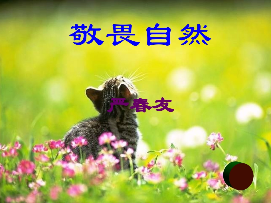 八年级语文敬畏自然_第1页